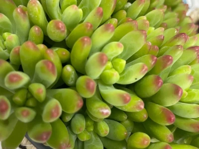 40岁 素颜也可以很美