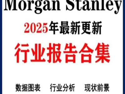 2025 大摩投行研报合集