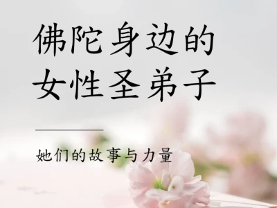 智慧第一 :美貌皇后的觉悟之路