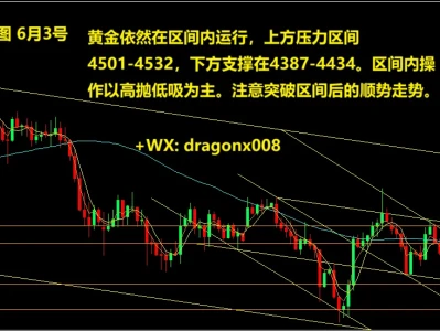 森林有话说 6月3号 黄金研报 图文详解