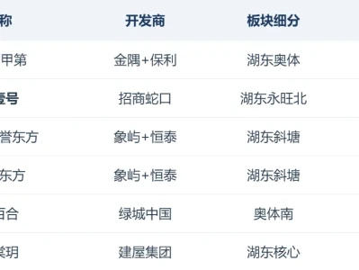 园区湖东 2026 在售项目全维度对比研报