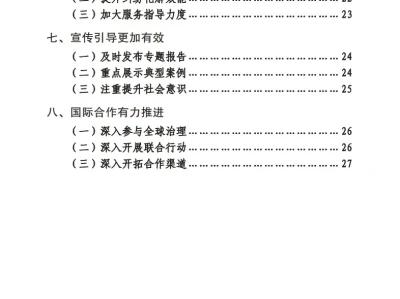 《中国打击侵权假冒工作年度报告(2024)》