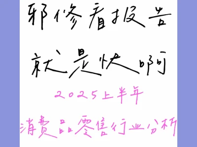 2025年上半年消费品零售行业分析报告