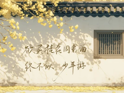 手写壁纸×平板壁纸11