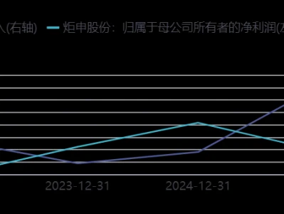 炬申股份001202深度研报