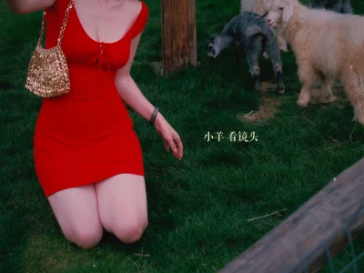 我时常感叹女性的身体魅力