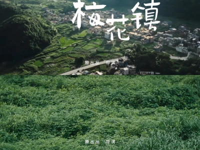 女导演,好,真好,太好了。
