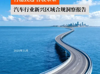 【研报349】汽车行业新兴区域合规洞察报告:行稳致远 智驭未来(PDF文末附下载)