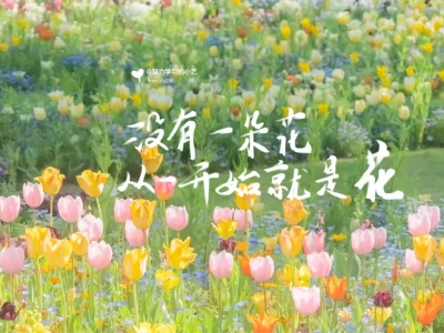 春天神极壁纸也太好看了吧!✨✨