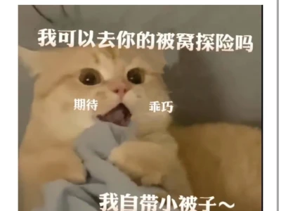 像不像你那可爱又迷人的女朋友呢！