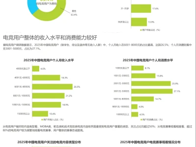 2025中国电竞行业研究报告