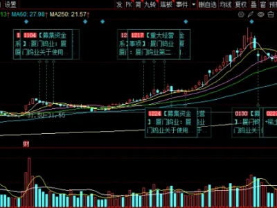 厦门钨业(600549)2026 深度研报:钨资源 + 光伏钨丝 + 锂电正极三重驱动,稳健成长龙头