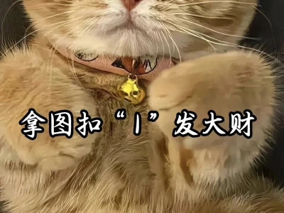这个ipad壁纸太高级了