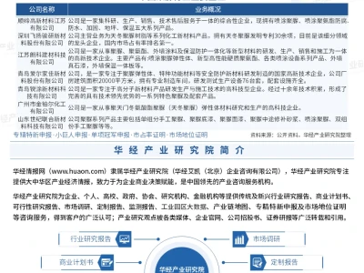 2025年中国聚脲行业市场深度研究报告