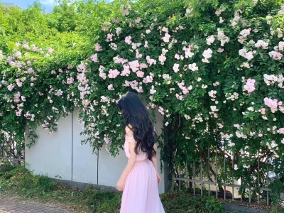 🌸₊⊹˚ 𝘈𝘳𝘰𝘮𝘢 𝘰𝘧 𝘷𝘪𝘰𝘭𝘦𝘵 ‧₊˚