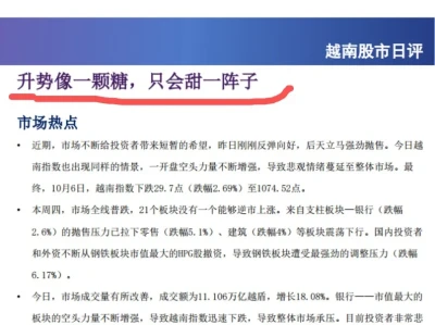越南的券商研报很会起标题