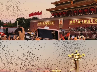 这个当壁纸太好看了吧🇨🇳