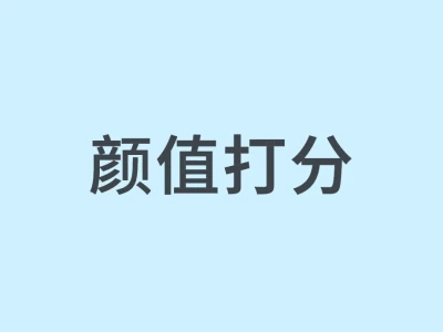优化版颜值打分标准（结合图片适配）
