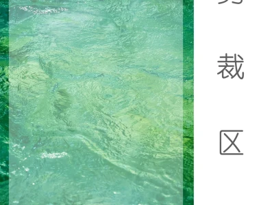 8月壁纸 | 清凉夏天 🍈