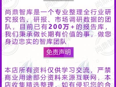 2025天然气行业报告📊燃气市场分析