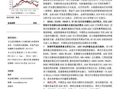 【证券研报】创新药行业研究:抗体偶联药物(ADC)行业:靶点多元化+IO联用创新,开启肿瘤精准治疗新周期