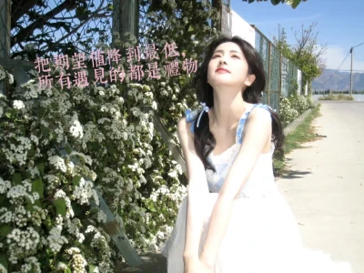 🌟白鹿语录壁纸|她的光芒照亮了我的路