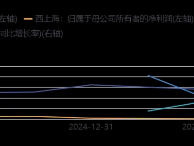 西上海605151深度研报