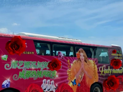 是谁在成都偶遇到了坚强笨女人?
