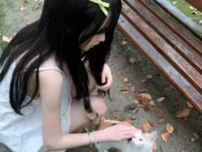 温柔女头推荐 .