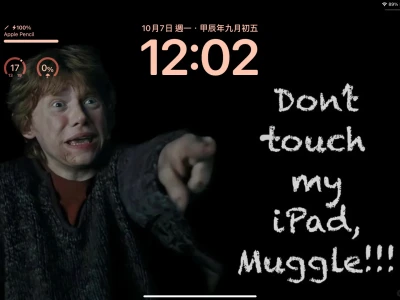 哈利波特🔮iPad壁纸