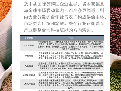 豆类种植行业