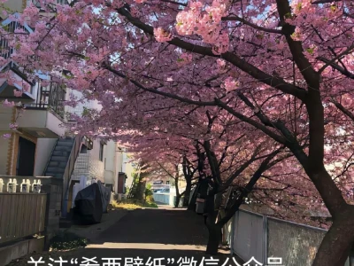 壁纸‖ipad平板横屏壁纸
