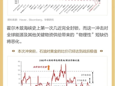 图说研报 | 当石油变成“黄金”