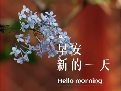 一些闪闪发光的早安文案，每天不重样
