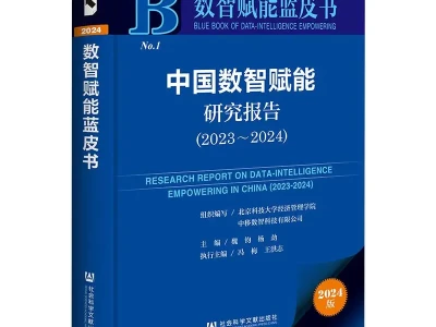 中国数智赋能研究报告超有趣❄️