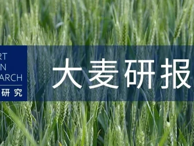 智链研究 | 大麦研报