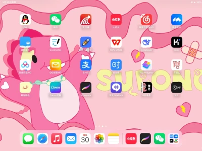 💗素龙壁纸💗