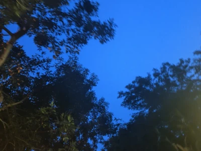 玩了几天发现自己瘦了6斤......