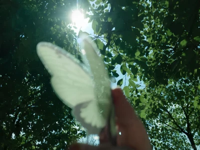 治愈#ipad壁纸✨