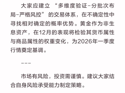 12月大黄投资策略研报