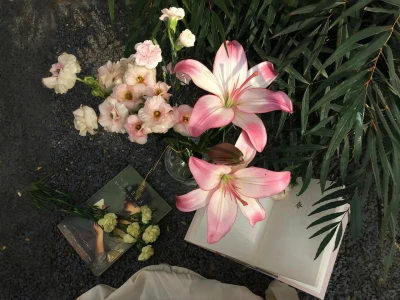 𝙎𝙝𝙖𝙧𝙚｜10张清新治愈氛围感iPad壁纸 🌱