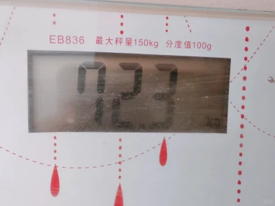 第一天打卡