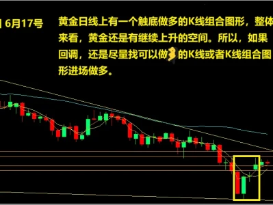 森林有话说 6月17号 黄金研报
