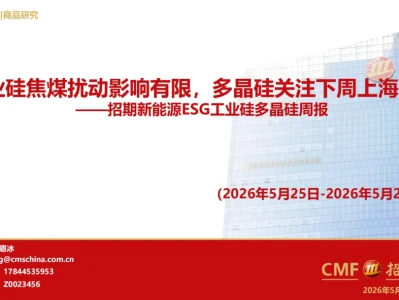 『研报』工业硅多晶硅周报:工业硅焦煤扰动影响有限,多晶硅关注下周上海会议