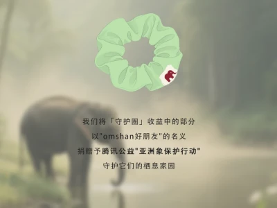 亚洲象保护行动 丨以小束之力，护大地之灵