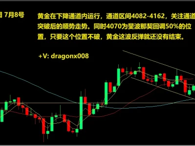 森林有话说 7月8号 黄金研报