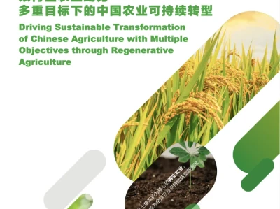 研报集纳|中国首份再生农业系统性报告发布:助力多重目标下的中国农业可持续转型