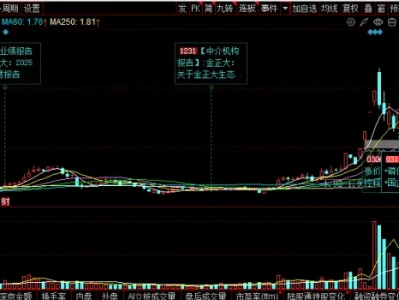 金正大(002470)2026 年 3 月研报:国资入主 + 磷矿 + 春耕三重反转,农化龙头业绩暴增