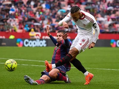 4.23 全球赛场:首席审计研报——从蓝筹刚兑到暴力增发:全维度的债权穿透