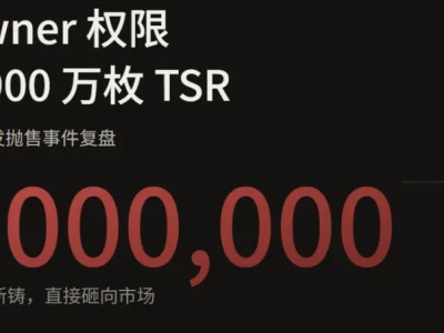 雪磐研报:一枚 Owner 权限,引爆 9,900 万枚 TSR